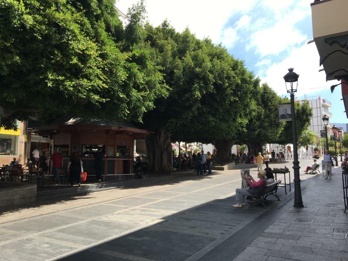 Laureles Appartamento *